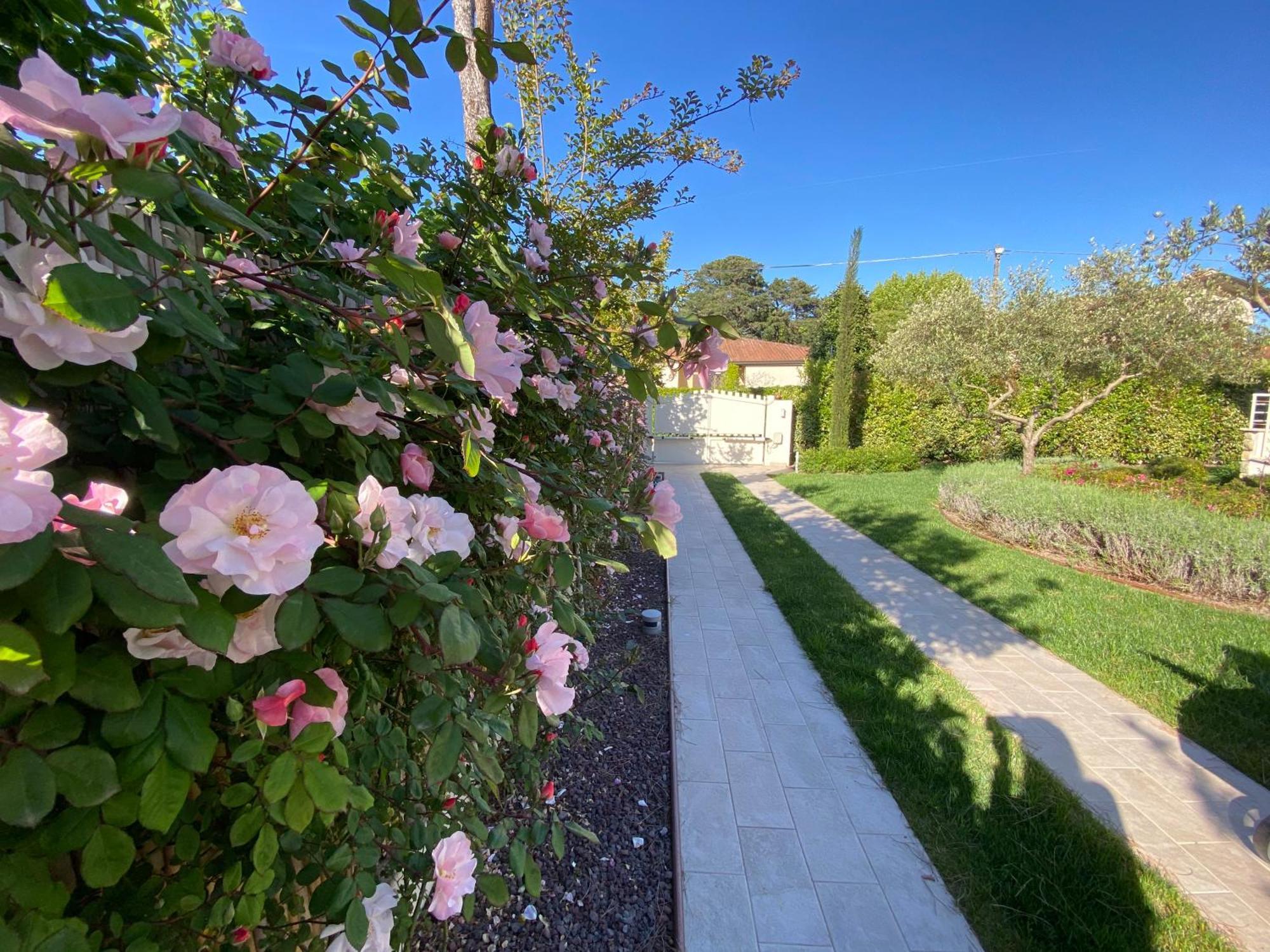 Bellaisa Bed & Breakfast Camaiore Exterior foto